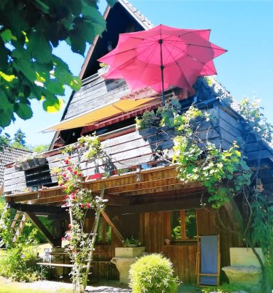 Holzhütte mit rotem Schirm, umgeben von grünen Pflanzen und einem blauen Himmel.