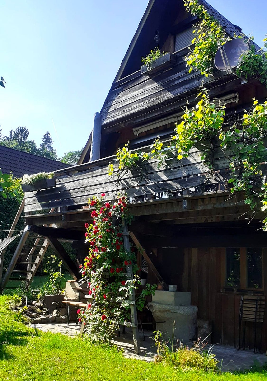 Ferienhaus Relax im Chiemgau Holzhaus mit schräg geneigtem Dach und blühenden Rosen im Vordergrund.